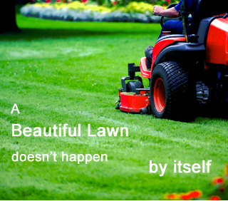 Lawn Mowing North Shore Auckland